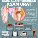 Cara Menurunkan Kadar Asam Urat Dengan Cepat Panduan Lengkap Untuk Kesehatan Optimal