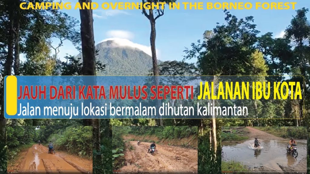 Inspirasi Rute Road Trip Menembus Hutan Kalimantan Petualangan Tak Terlupakan Di Jantung Borneo