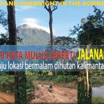 Inspirasi Rute Road Trip Menembus Hutan Kalimantan Petualangan Tak Terlupakan Di Jantung Borneo