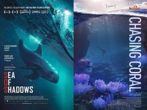 Mengungkap Samudra Ilmu Manfaat Belajar Tentang Ekosistem Laut Melalui Film Dokumenter