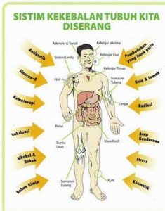 Mengapa Kurang Tidur Merusak Pertahanan Tubuh Dampak Begadang Terhadap Imunitas